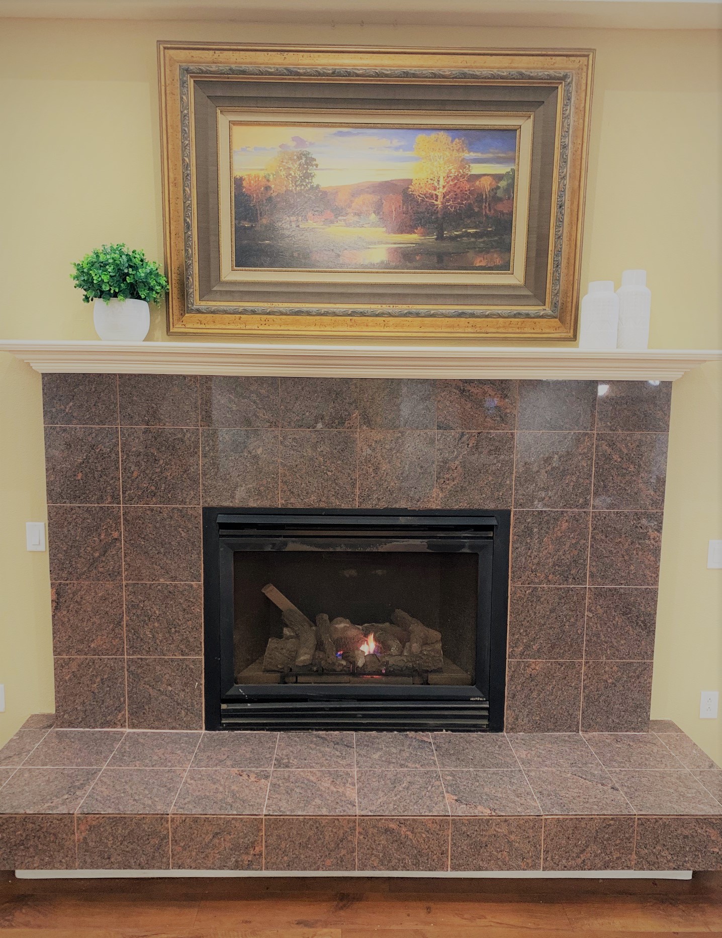 Solstice at Grapevine_Fireplace