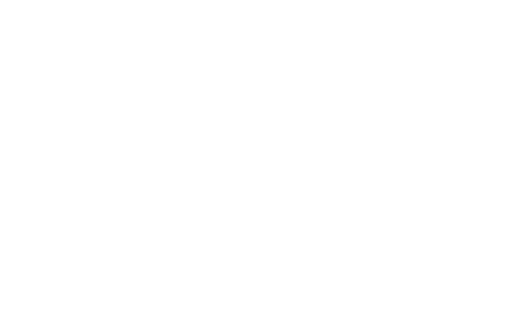 grapevine solstice logo white